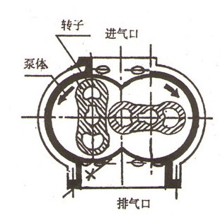 ZJ系列罗茨真空泵的结构